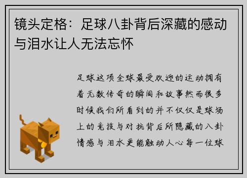 镜头定格:足球八卦背后深藏的感动与泪水让人无法忘怀 镜头定格:足球八卦背后深藏的感动与泪水让人无法忘怀