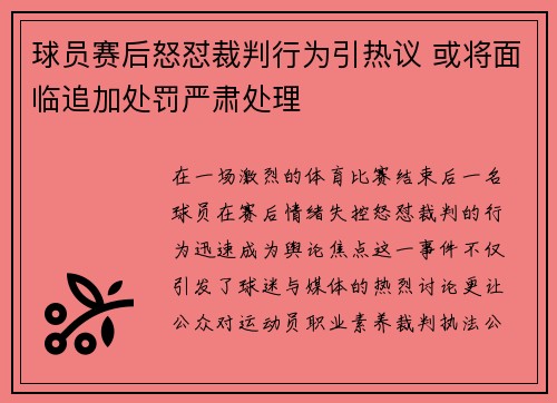 球员赛后怒怼裁判行为引热议 或将面临追加处罚严肃处理